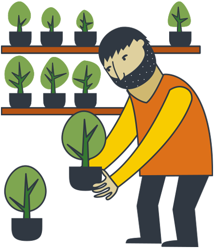 poda de reforestacion