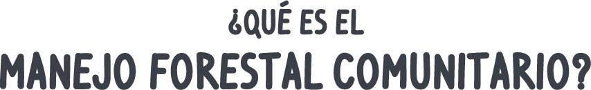 manejo forestal comunidades